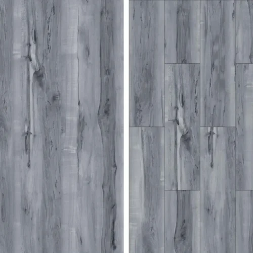 10 Northern Gray Savannah B collection