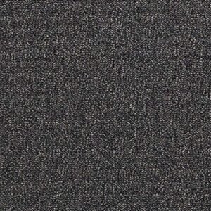 scholarship-ii-tile-color-bark