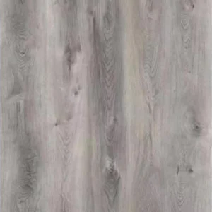 northern-gray-max-plank-collection-2