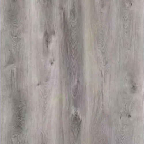 76 Northern Gray Max Plank collection